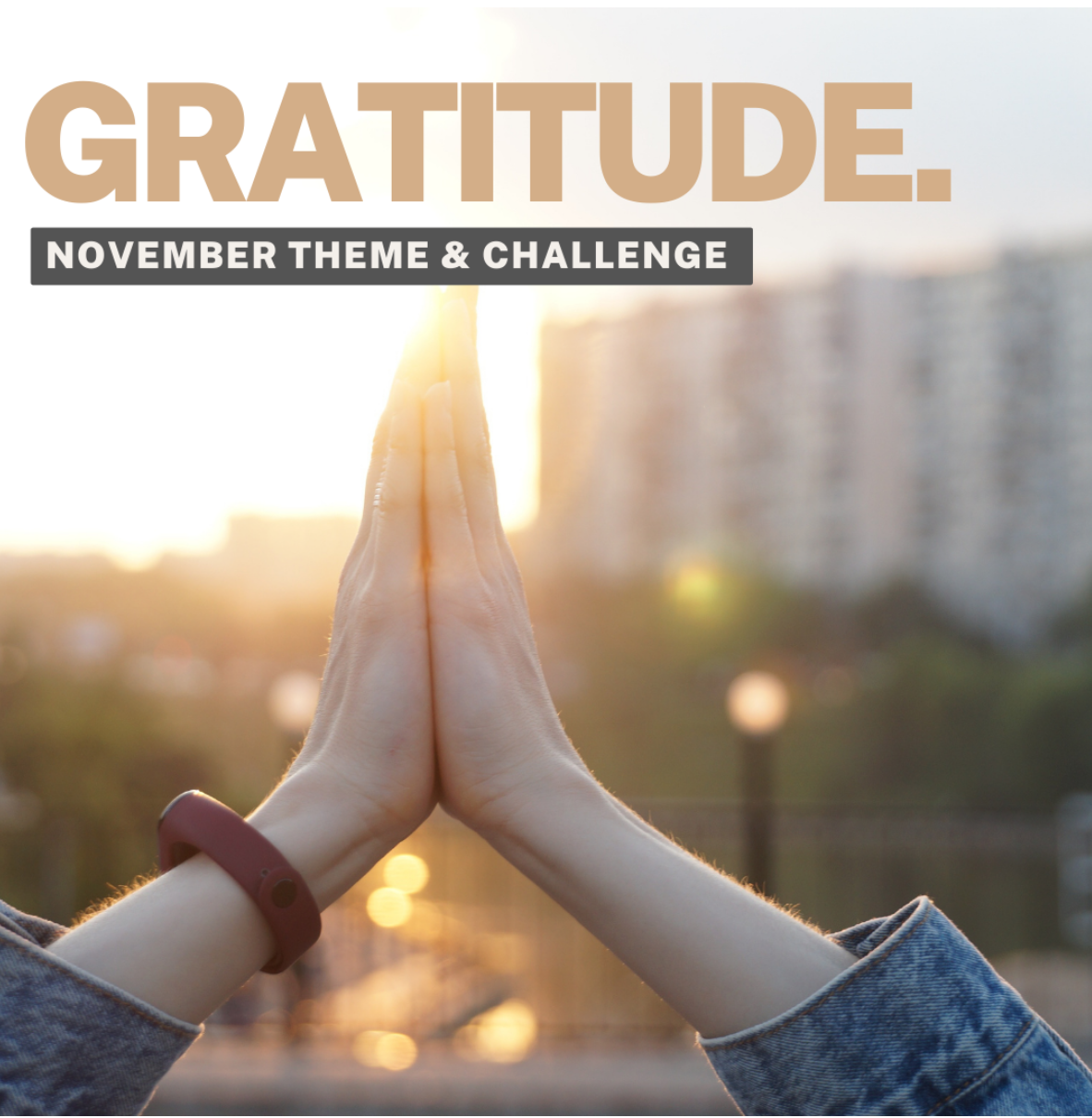 Being grateful 11/5