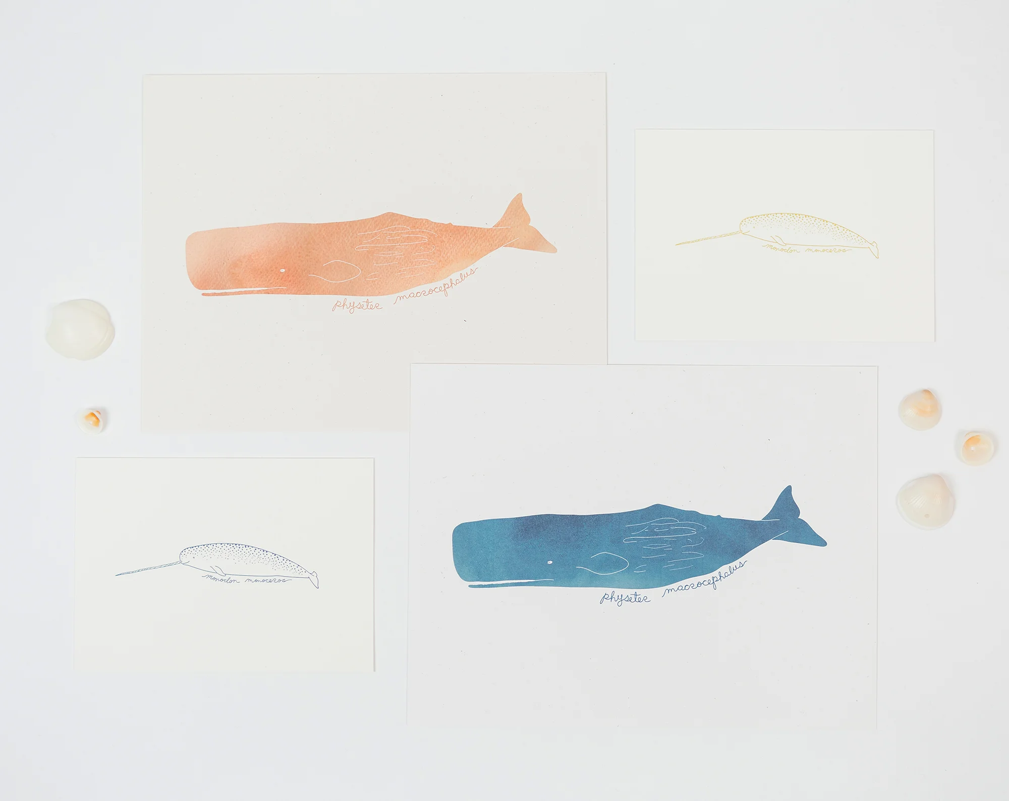 narwhal & sperm whale art prints