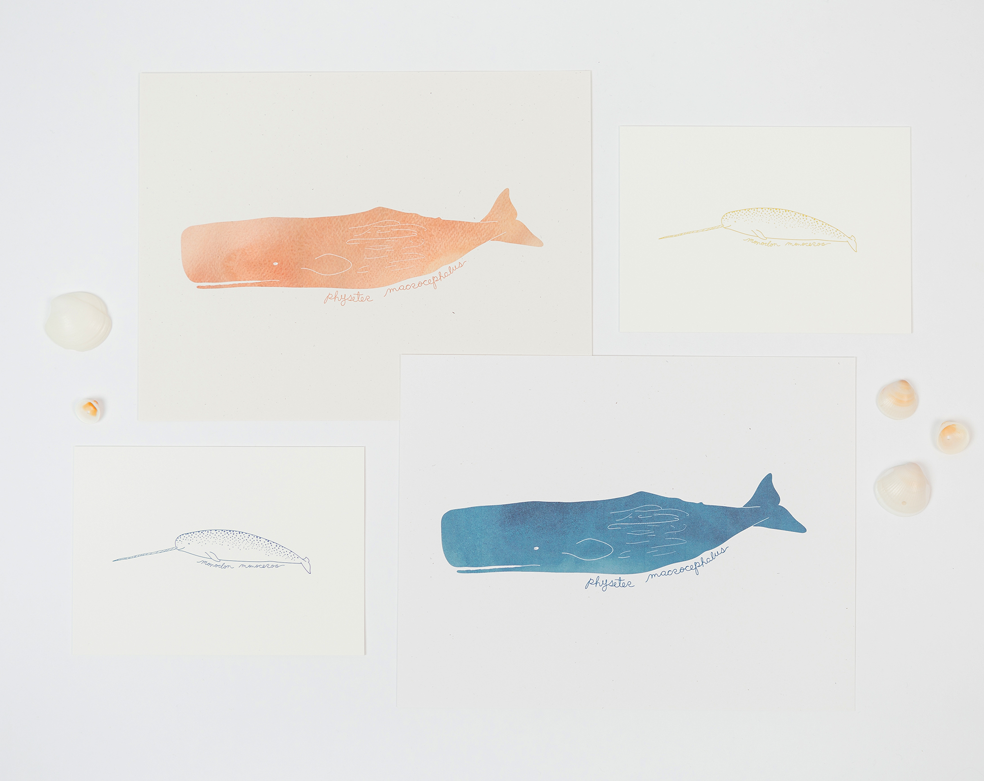 narwhal &amp; sperm whale art prints