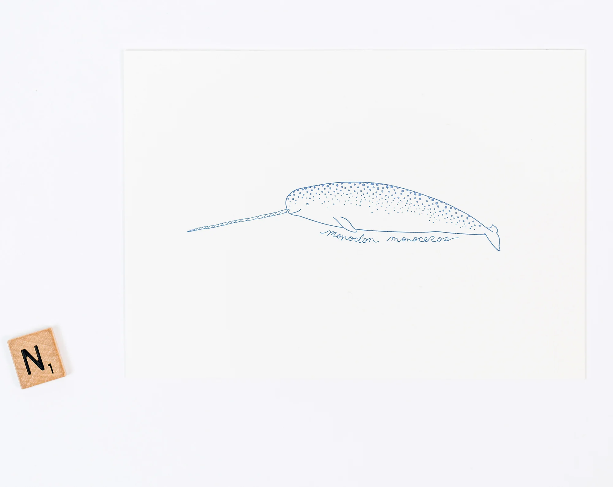 narwhal letterpress art print, 5x7 (NAVY)