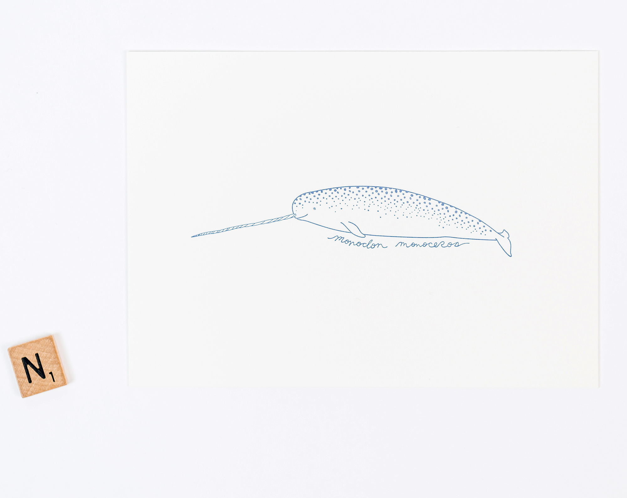 narwhal letterpress art print, 5x7 (NAVY)