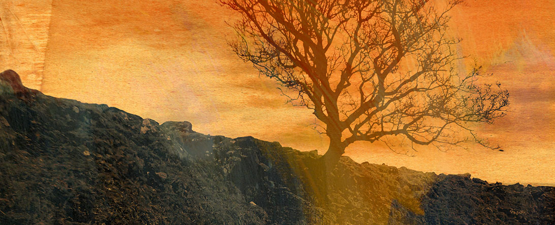 dartmoor.jpg
