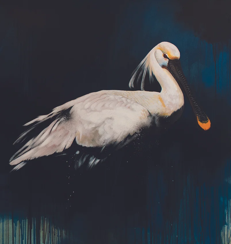 SPOONBILL