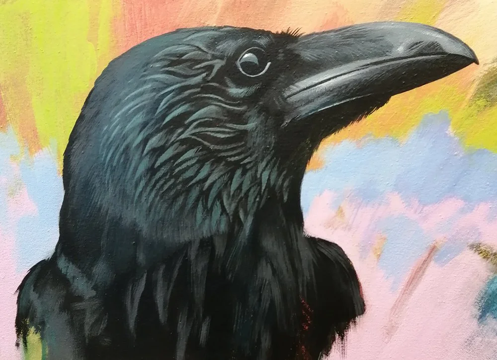 RAVEN STUDY