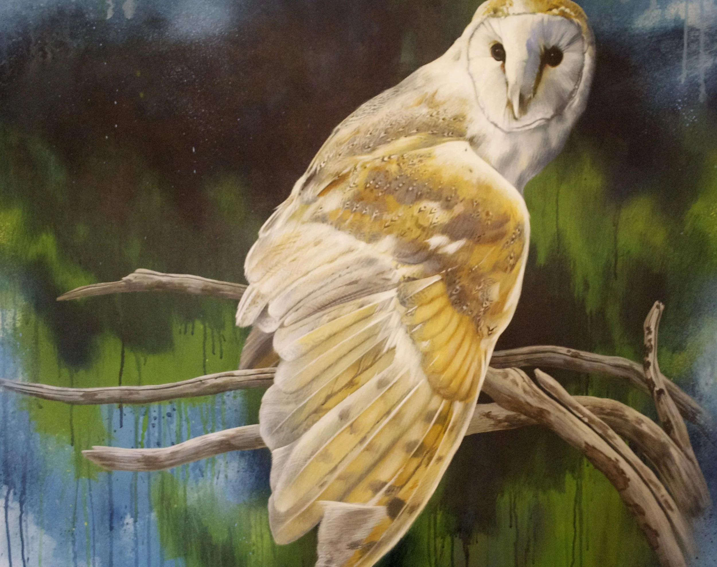 BARN OWL
