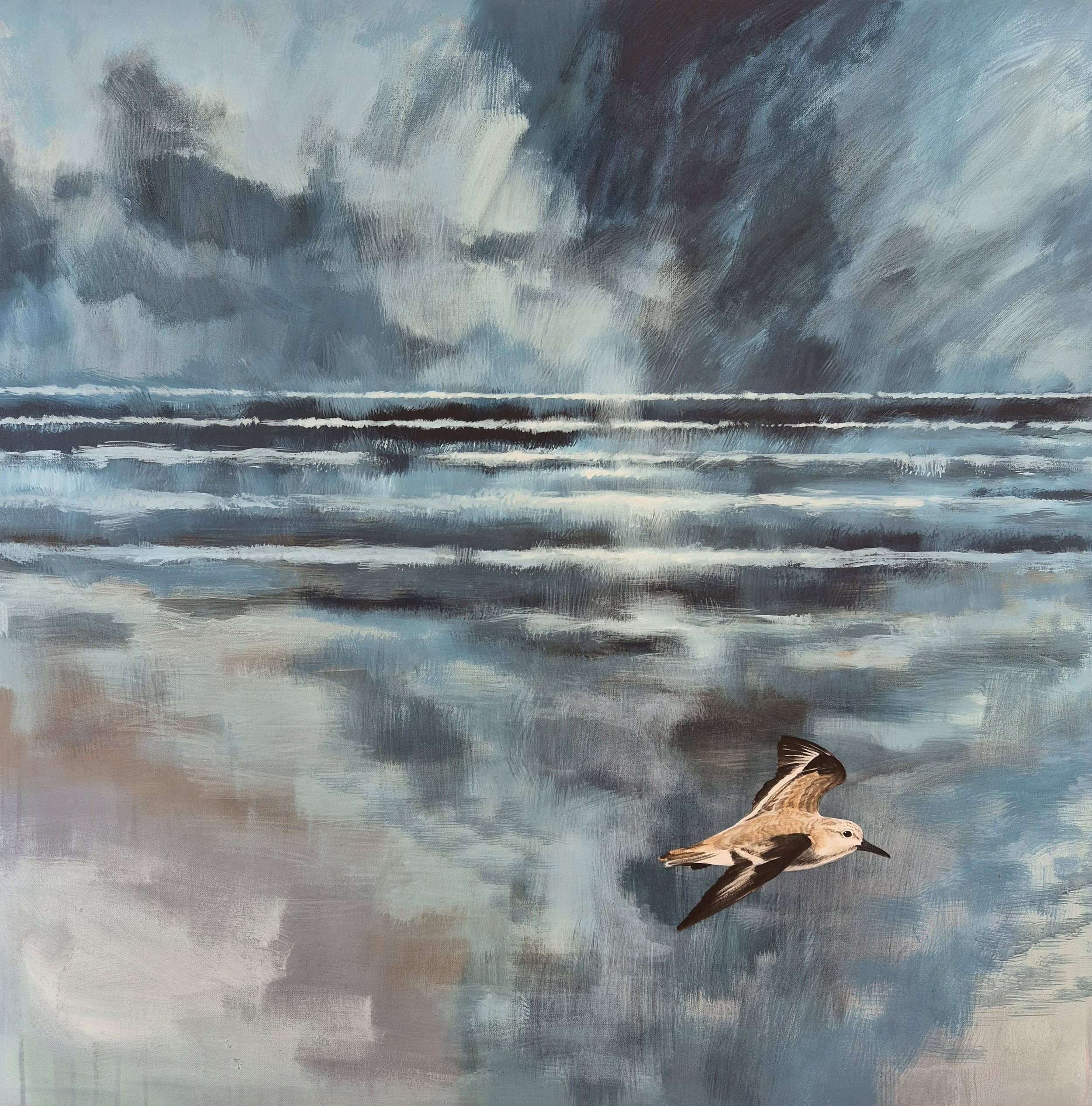 SANDERLING IN FLIGHT