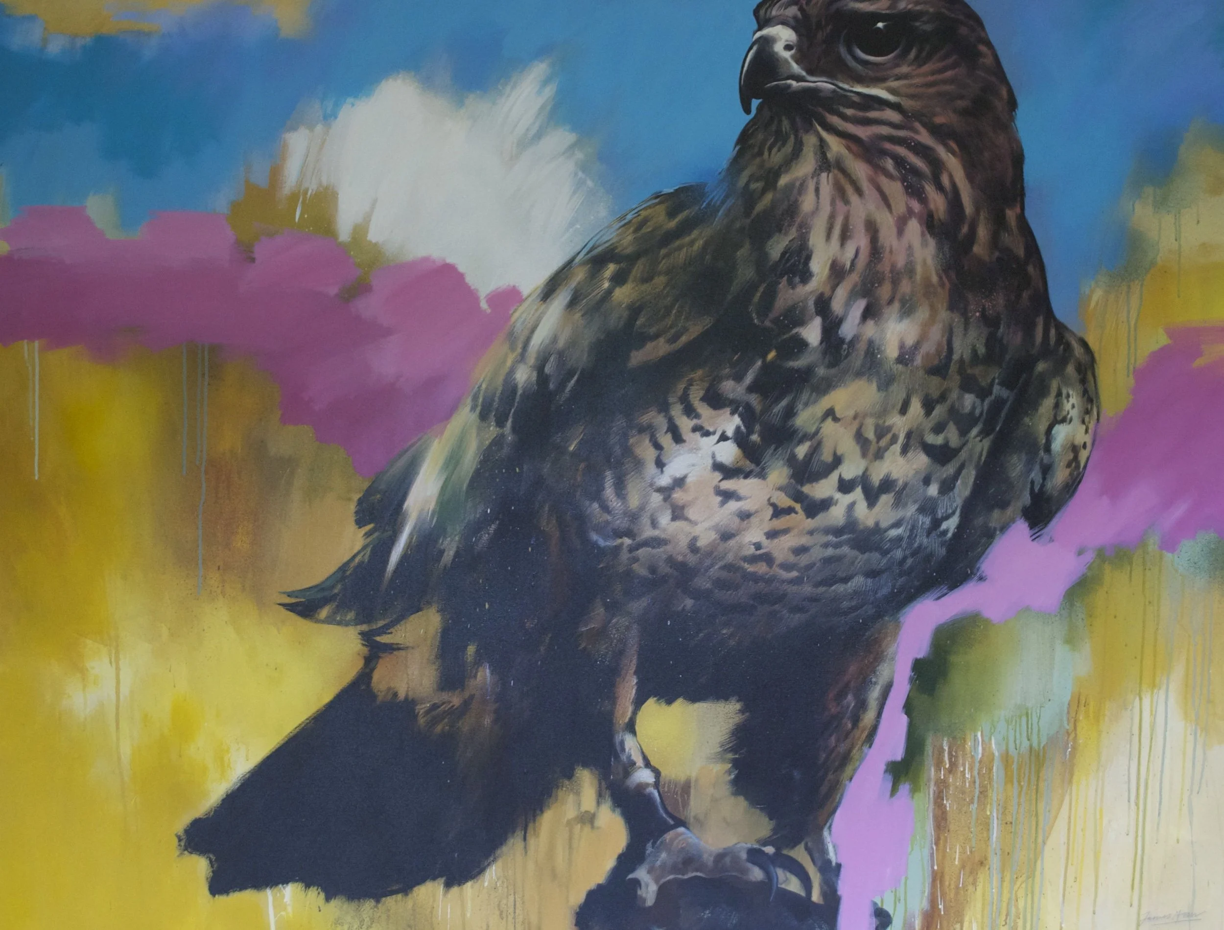 BIG BUZZARD.jpg