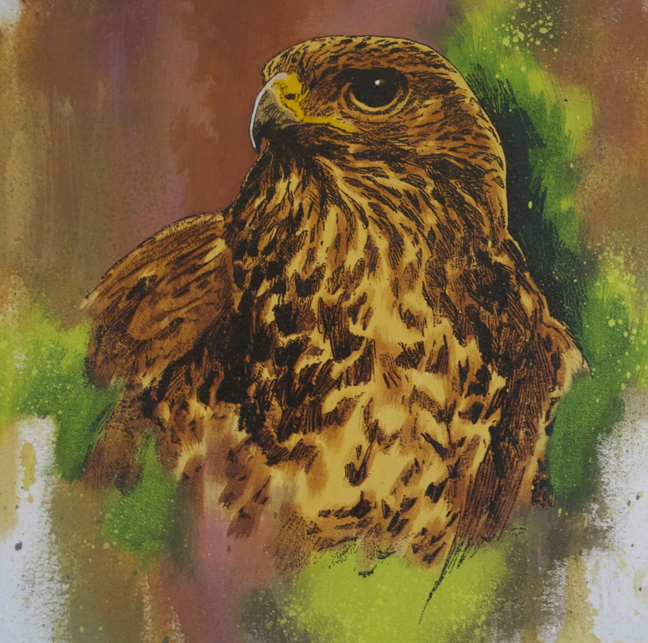 BROWN BUZZARD.jpg