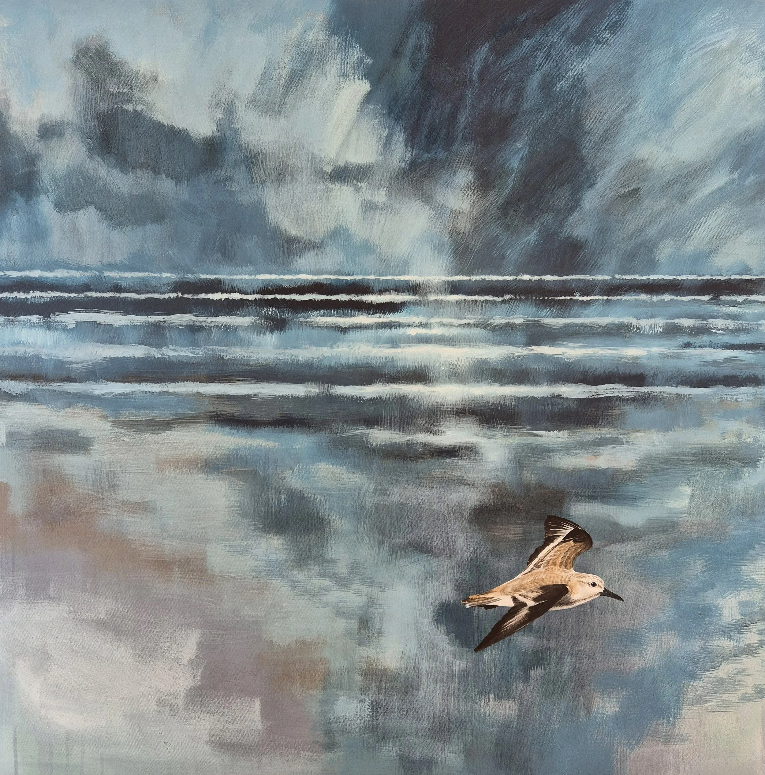 SANDERLING1.jpg