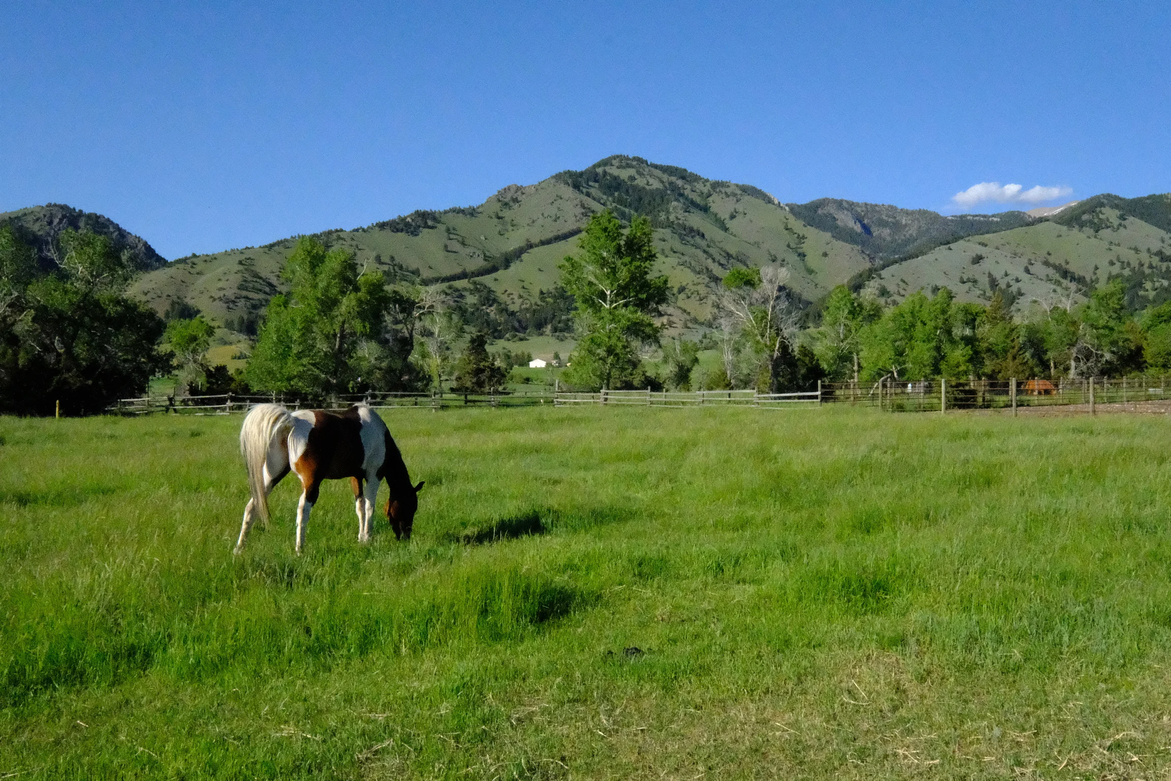 DSCF3820.jpg