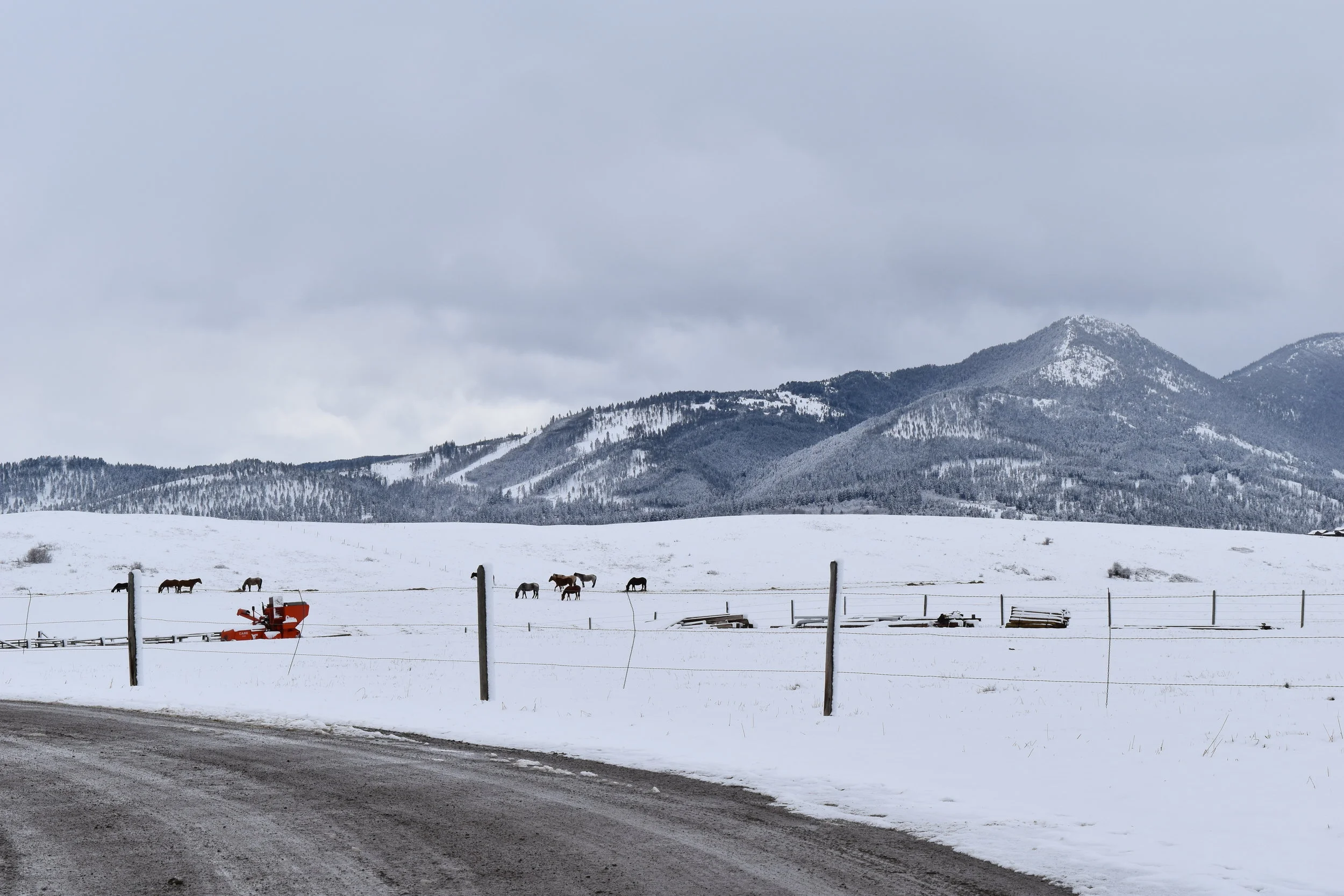 DSC_0053.jpg