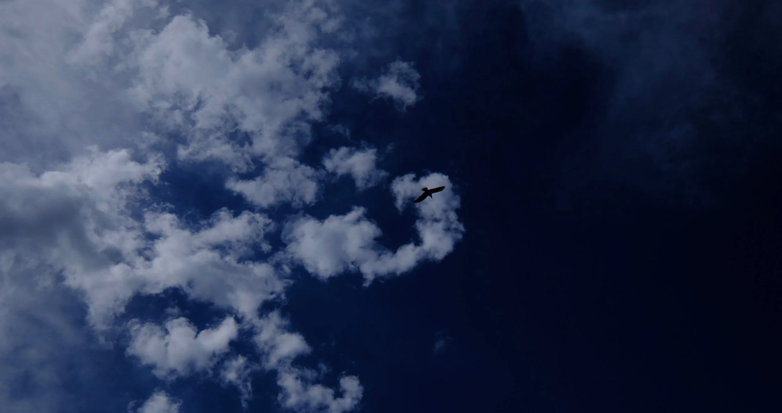 DSCF3899.jpg