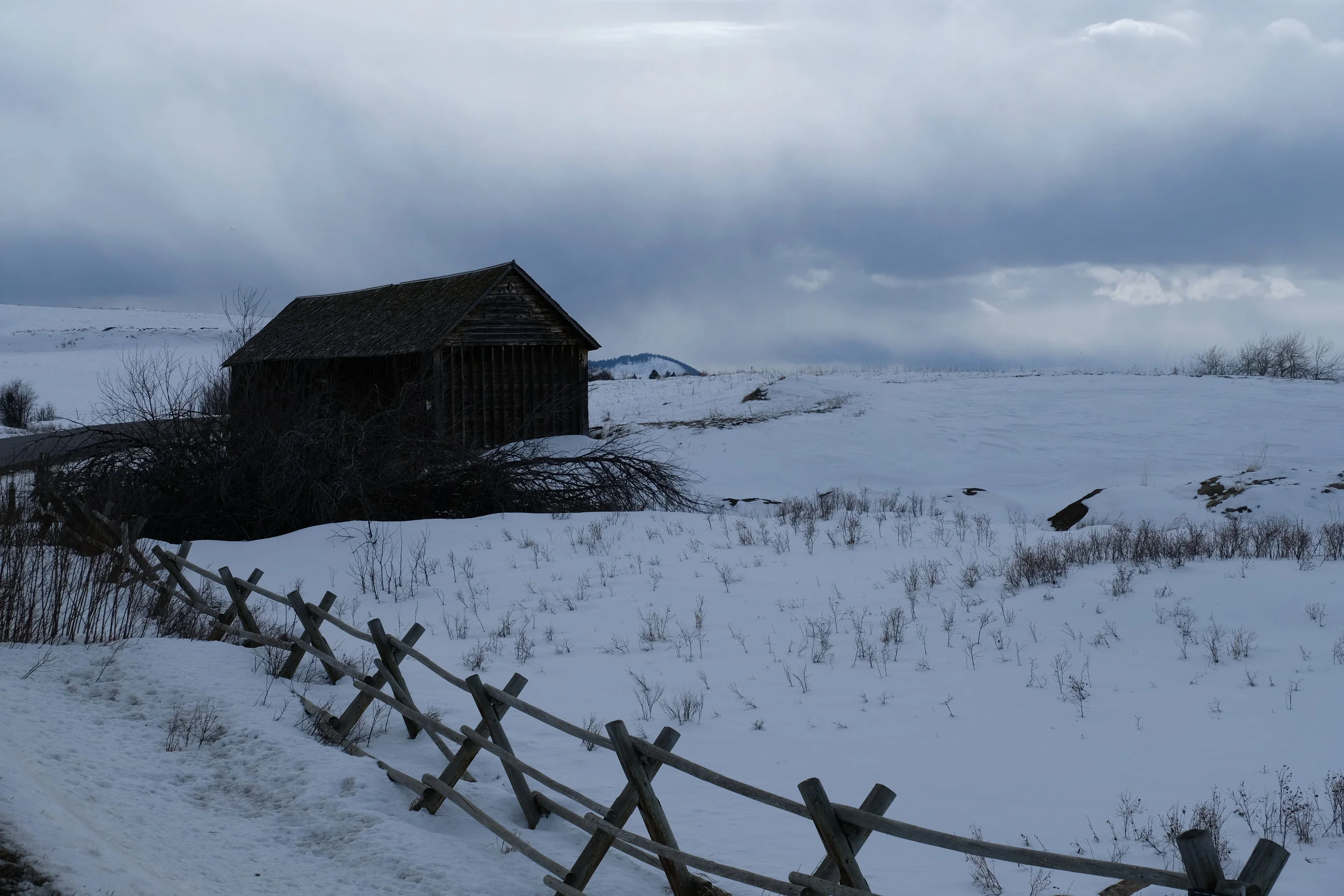 DSCF6886.jpg