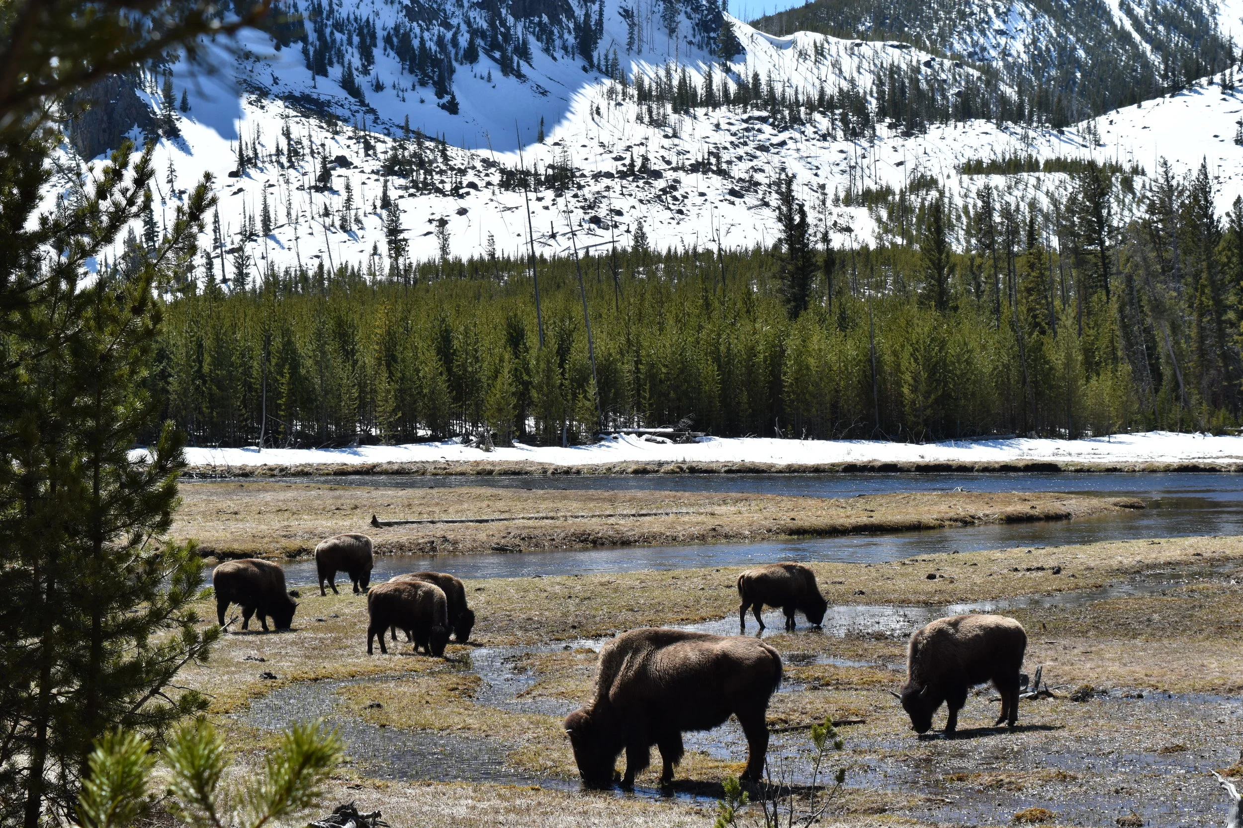 DSC_0086.jpg