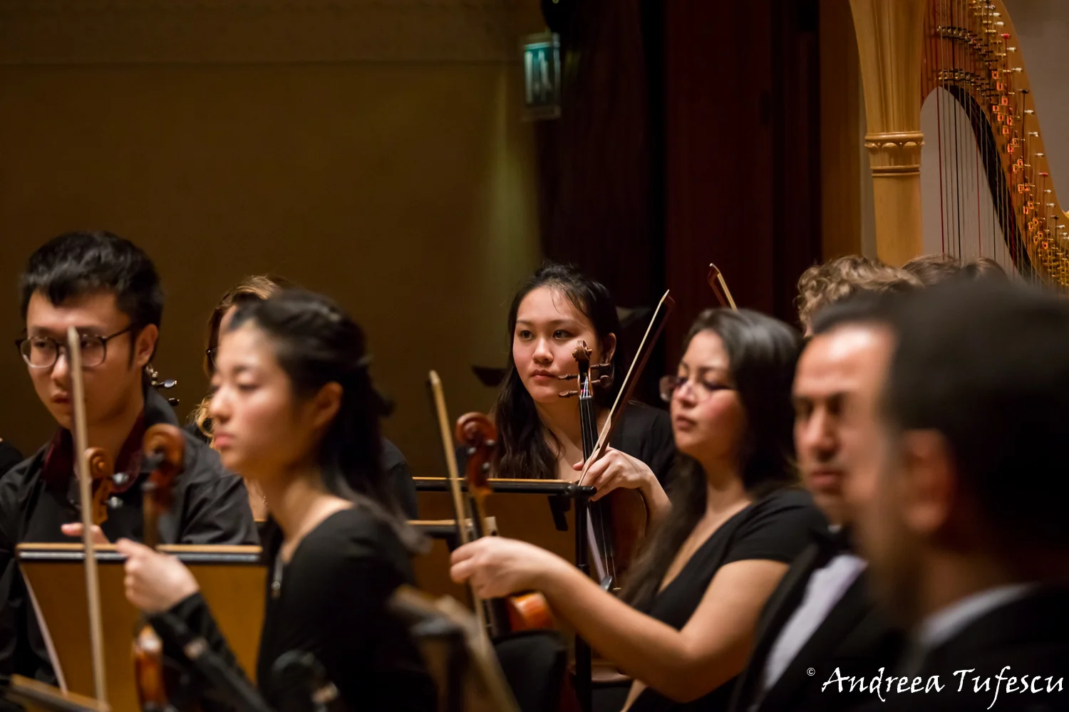 Light of Music - web ready-120.jpg