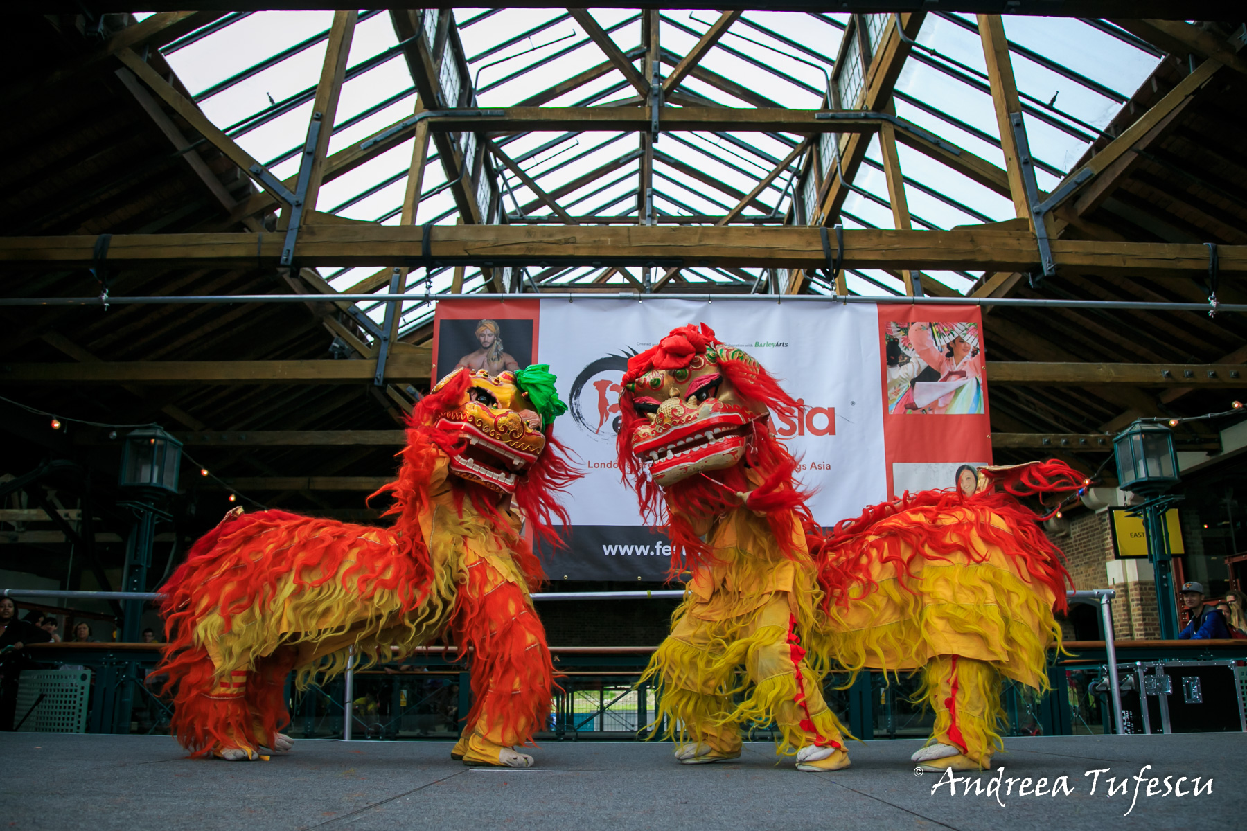  Festival Asia by London photographer Andreea Tufescu 