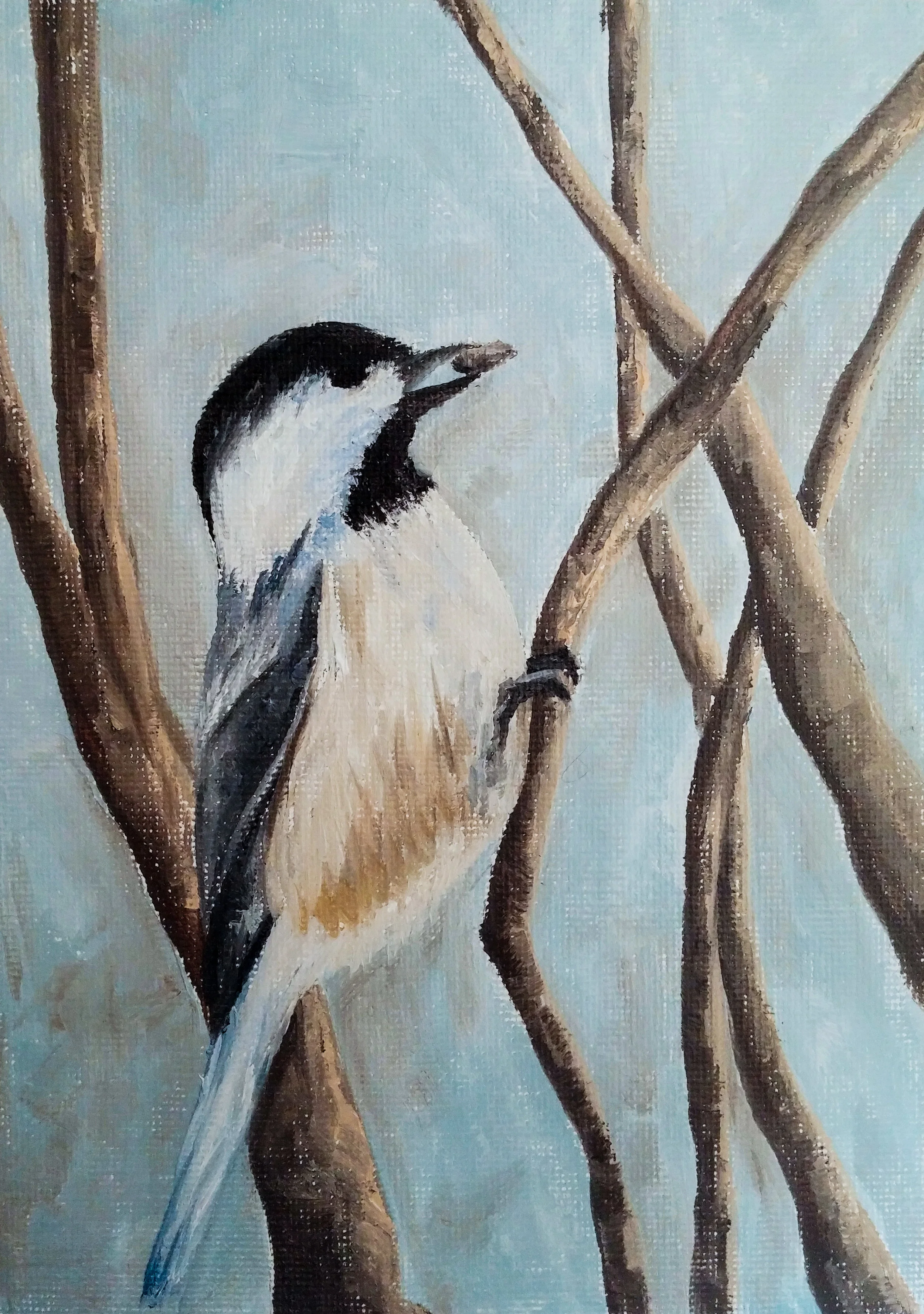 Day 12 - Bird
