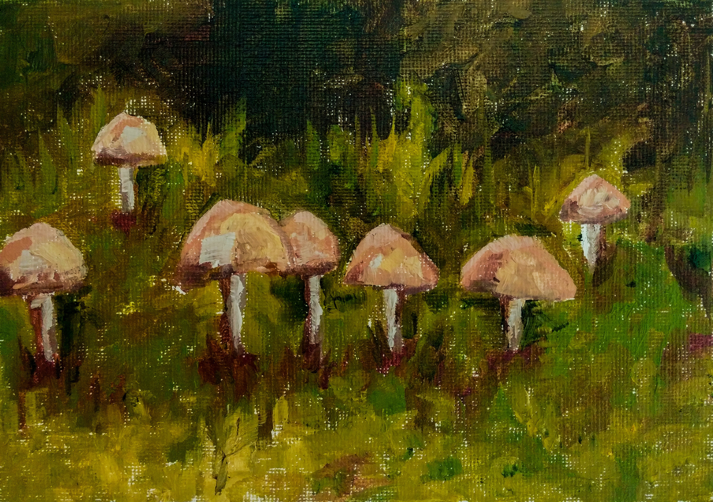 Day 6-Mushrooms.jpg