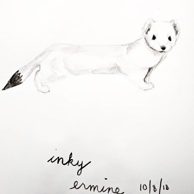 Inky ermine #inktober .
.
.
#inktober2018 #illustratorsoninstagram #animalillustration