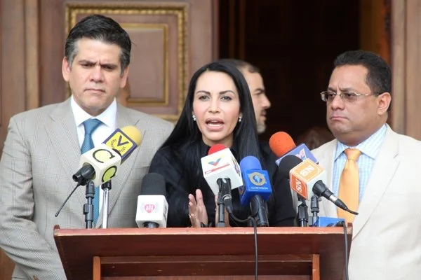 AN demandará ante el MP al Procurador de la República por usurpación de funciones