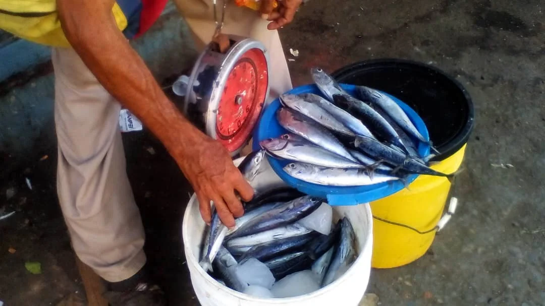 Mercado 1.jpeg