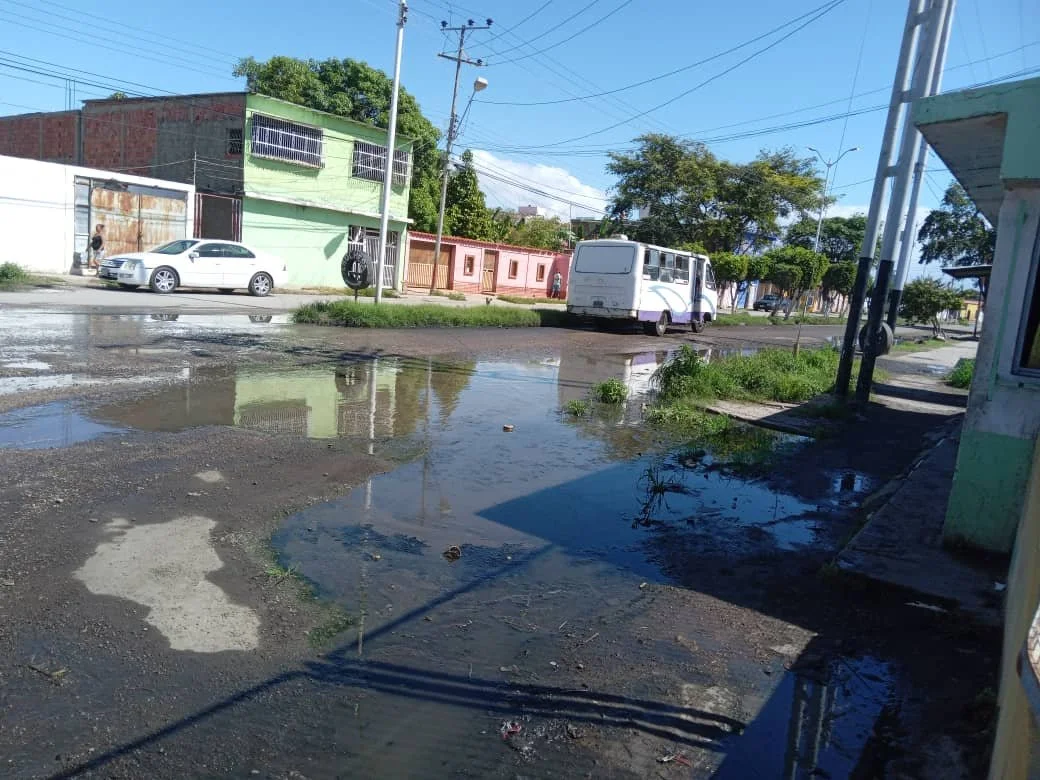 cronica-cumana.jpeg