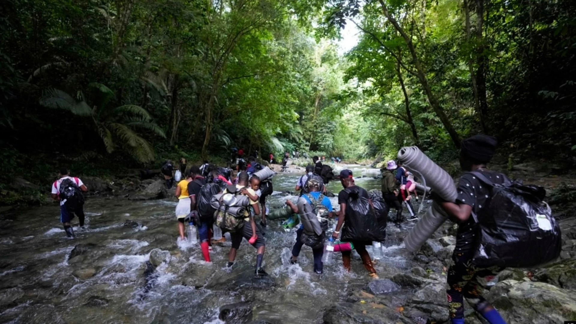 Omar González: Selva de Darién se alimenta de la vida de venezolanos desesperados