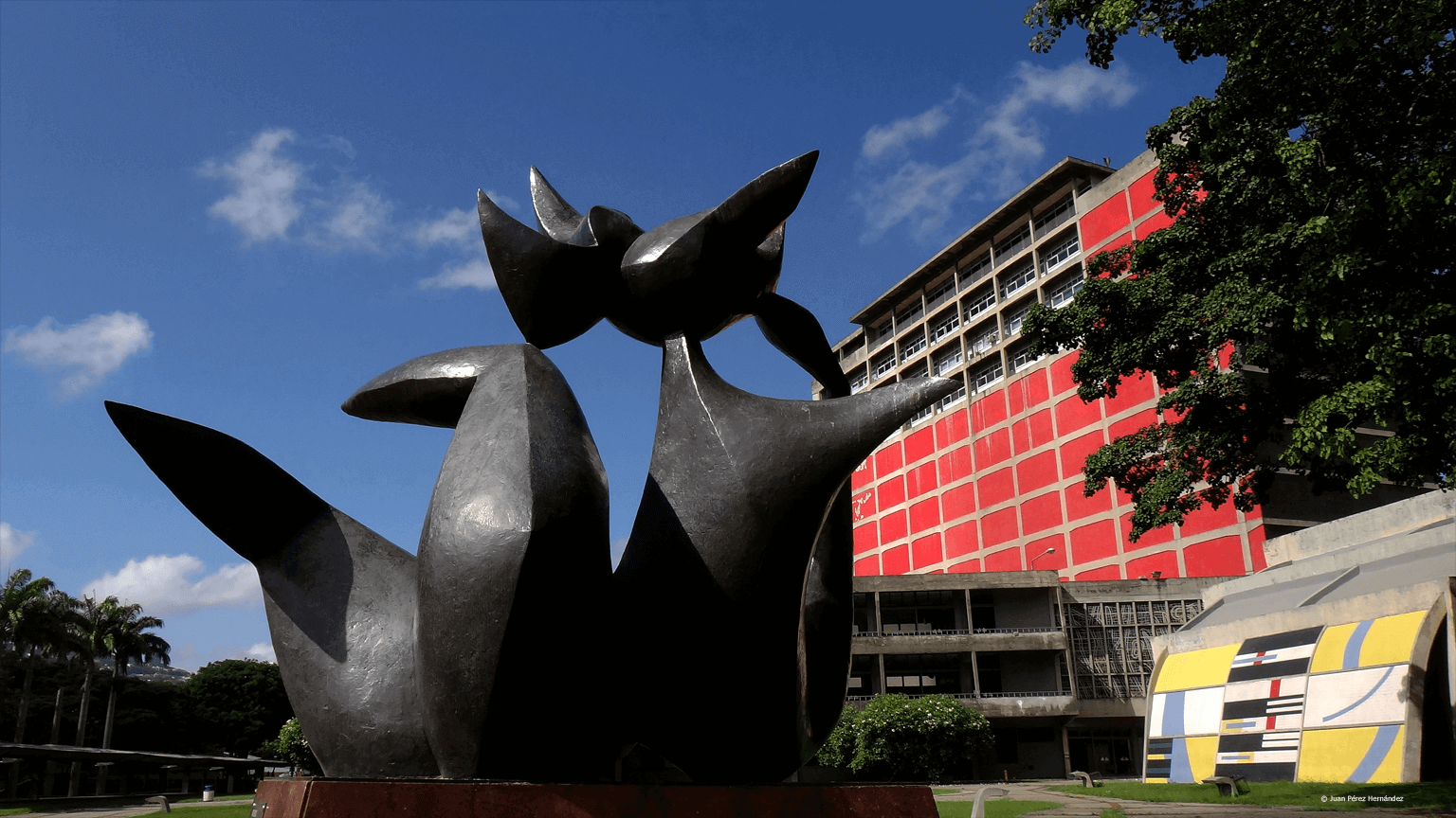 UCV rechaza manejo del bono universitario y exige corregir el proceso de pago