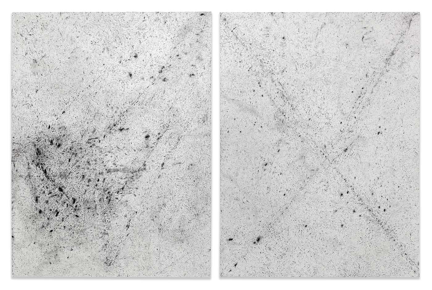 Tom Diptych Black and White.jpg