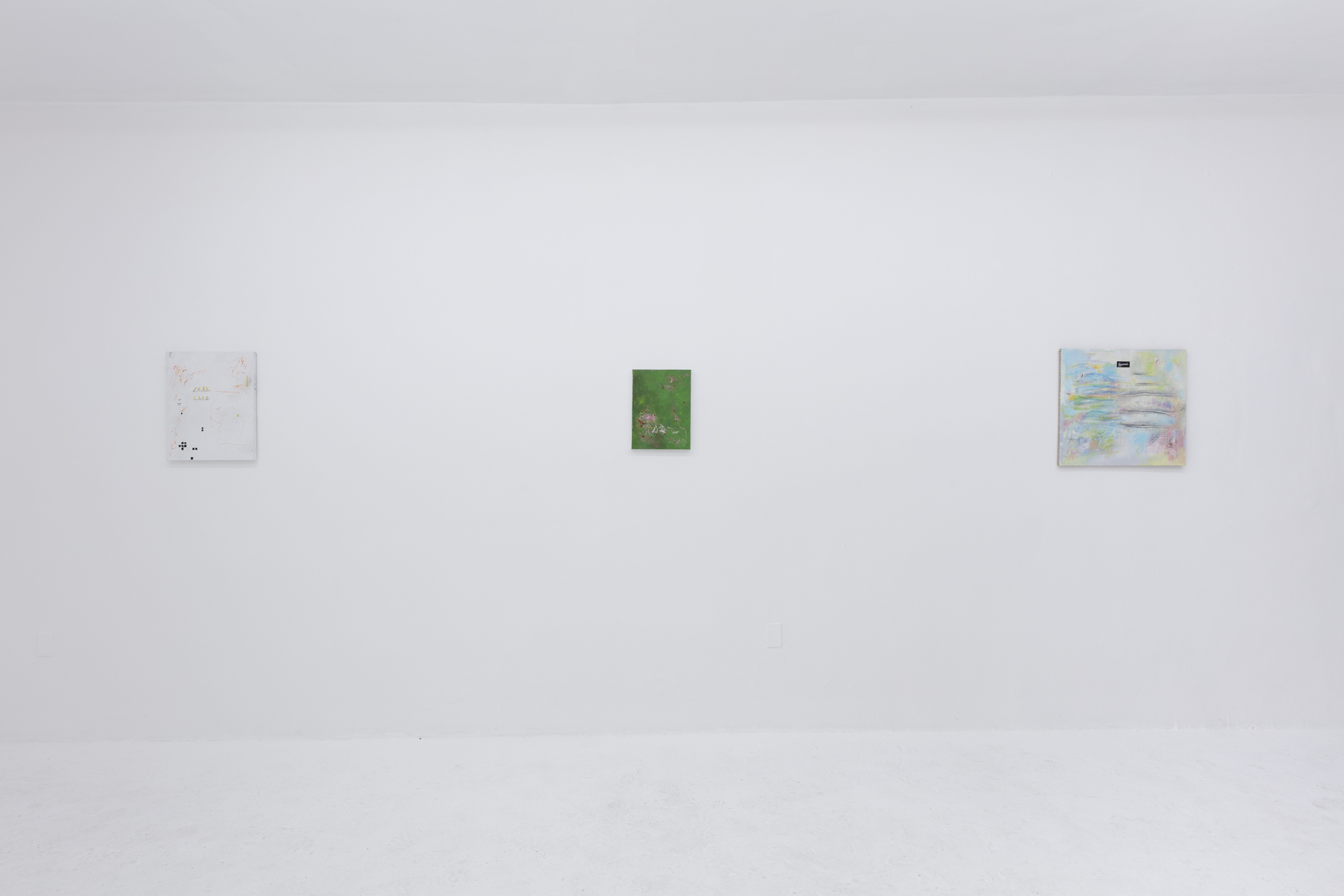 03032019_CentralFine_0005.jpg