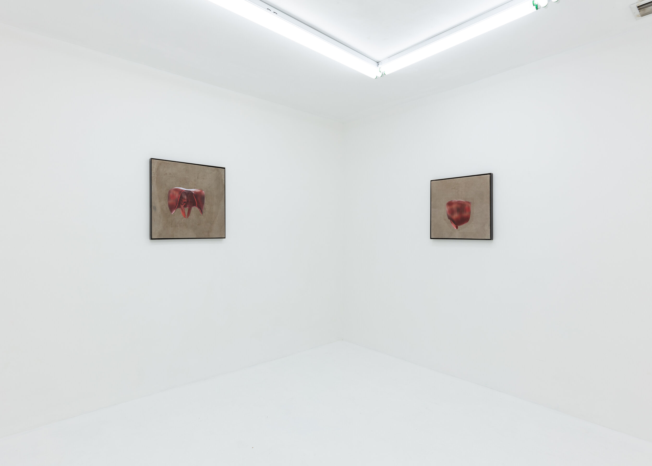 10042019_central_0099.jpg