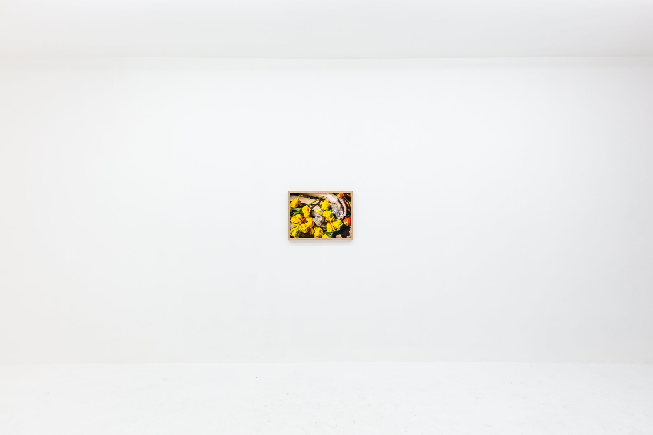 05302023_CentralFine_0073.jpg