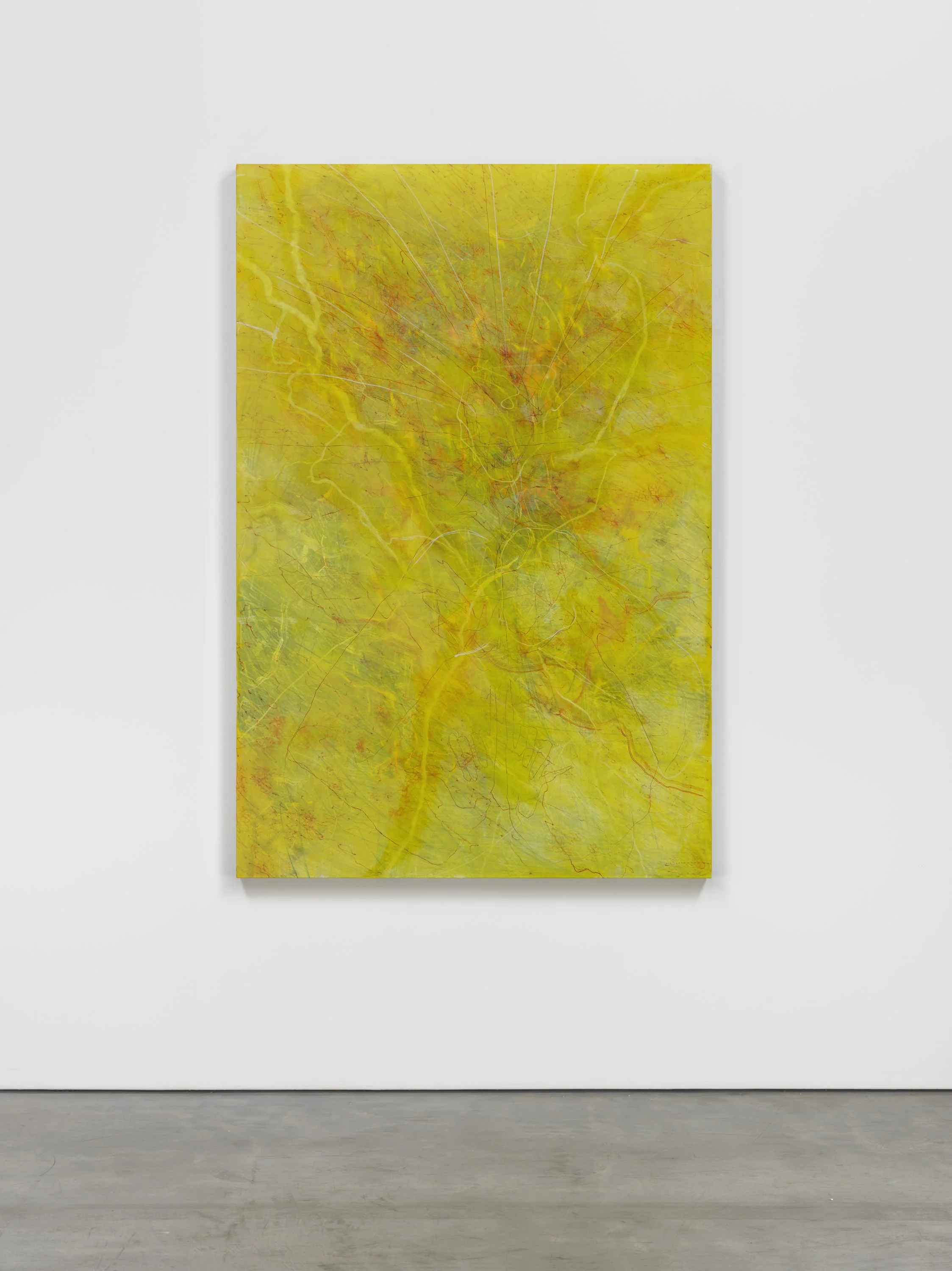 Opening up, fanning my yellow eye Illumination This is how my heart behaves_2024_C37395_with floor High.jpg