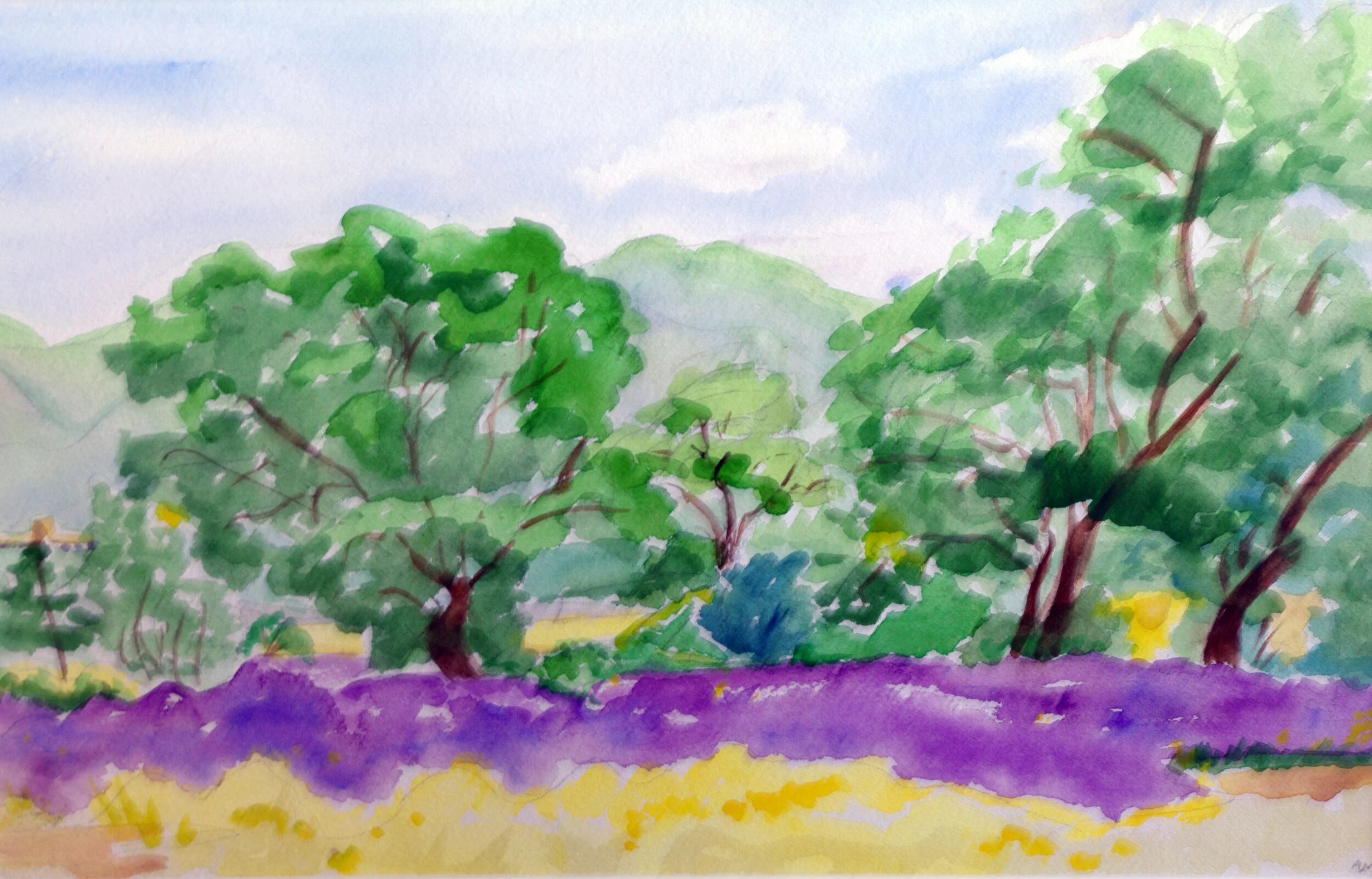 <em>Aster Field</em>