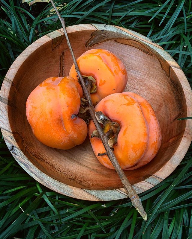 Persimmon season is upon us 🧡 &bull;
&bull;
&bull; 
#woodworking #wood #instawoodwork #woodworkingwoman #finewoodworking #woodshop #woodcraft #diy #woodwork #woodworker #woodturning #makersgonnamake #woodturner #seattlewoodturners #seattle #dallas #