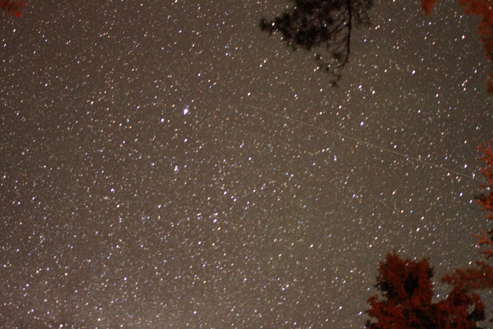 The Stars by Lee Foster