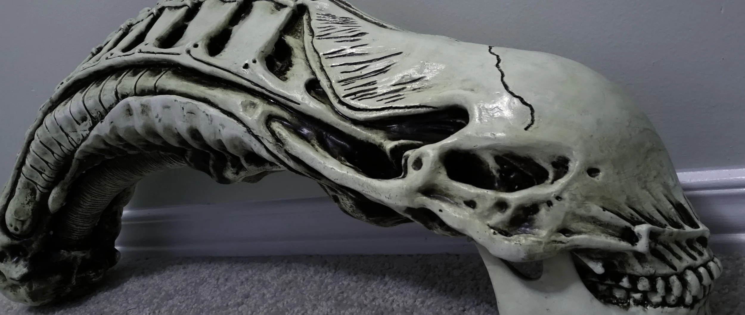skull.jpg