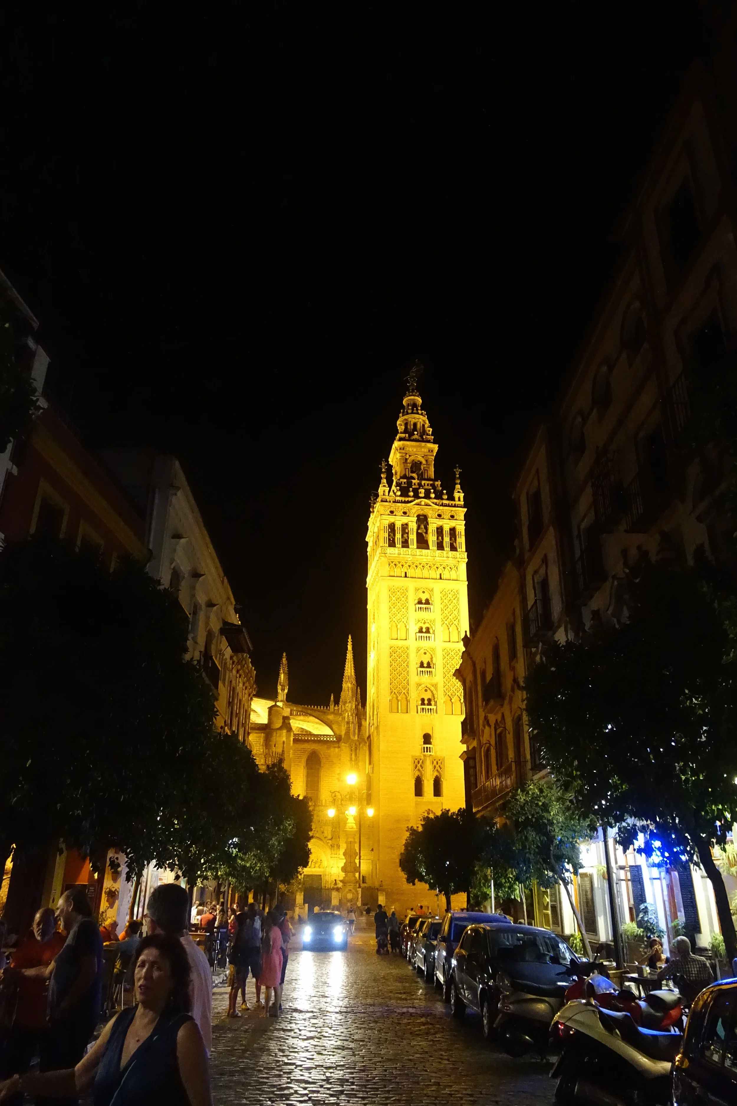 DSC00807.jpg