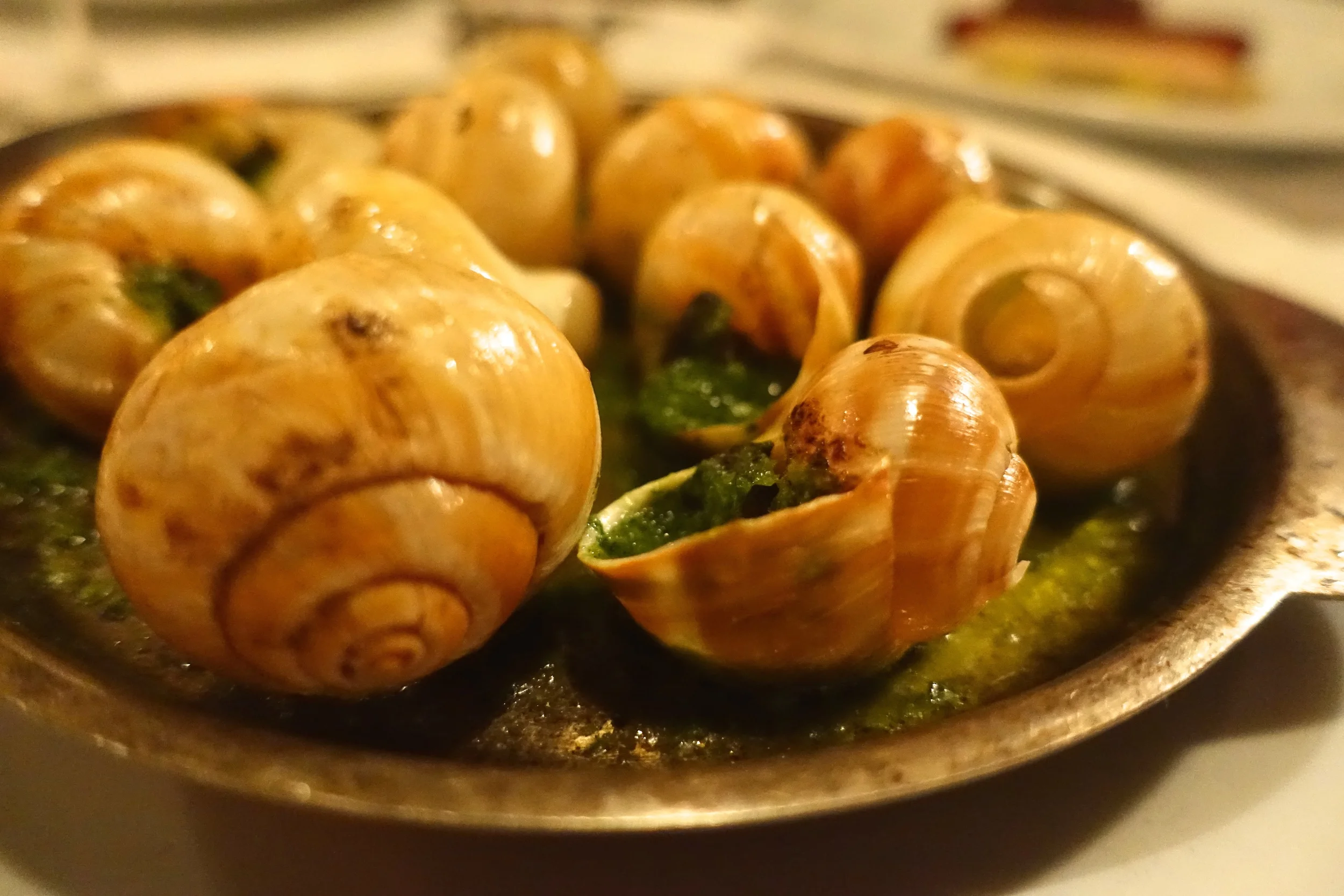Escargot on Christmas