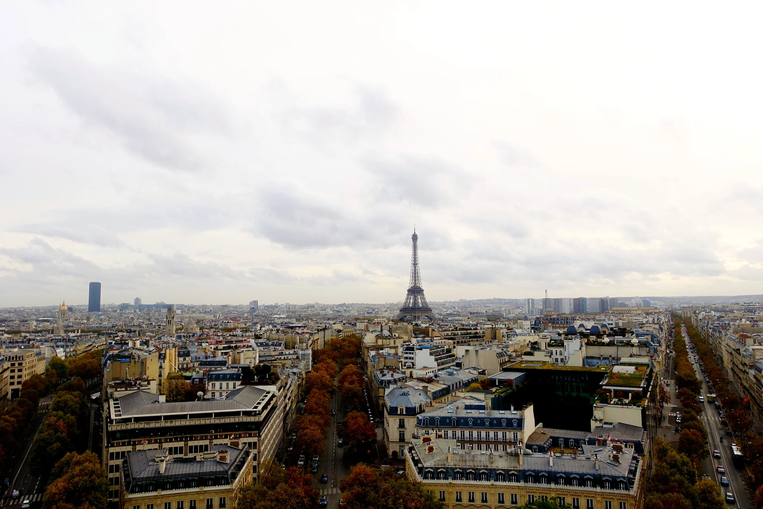 DSC01668.JPG