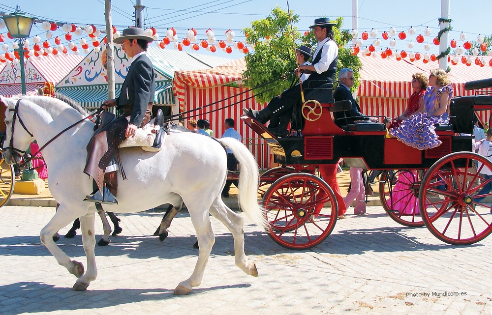 coche de caballo.jpg