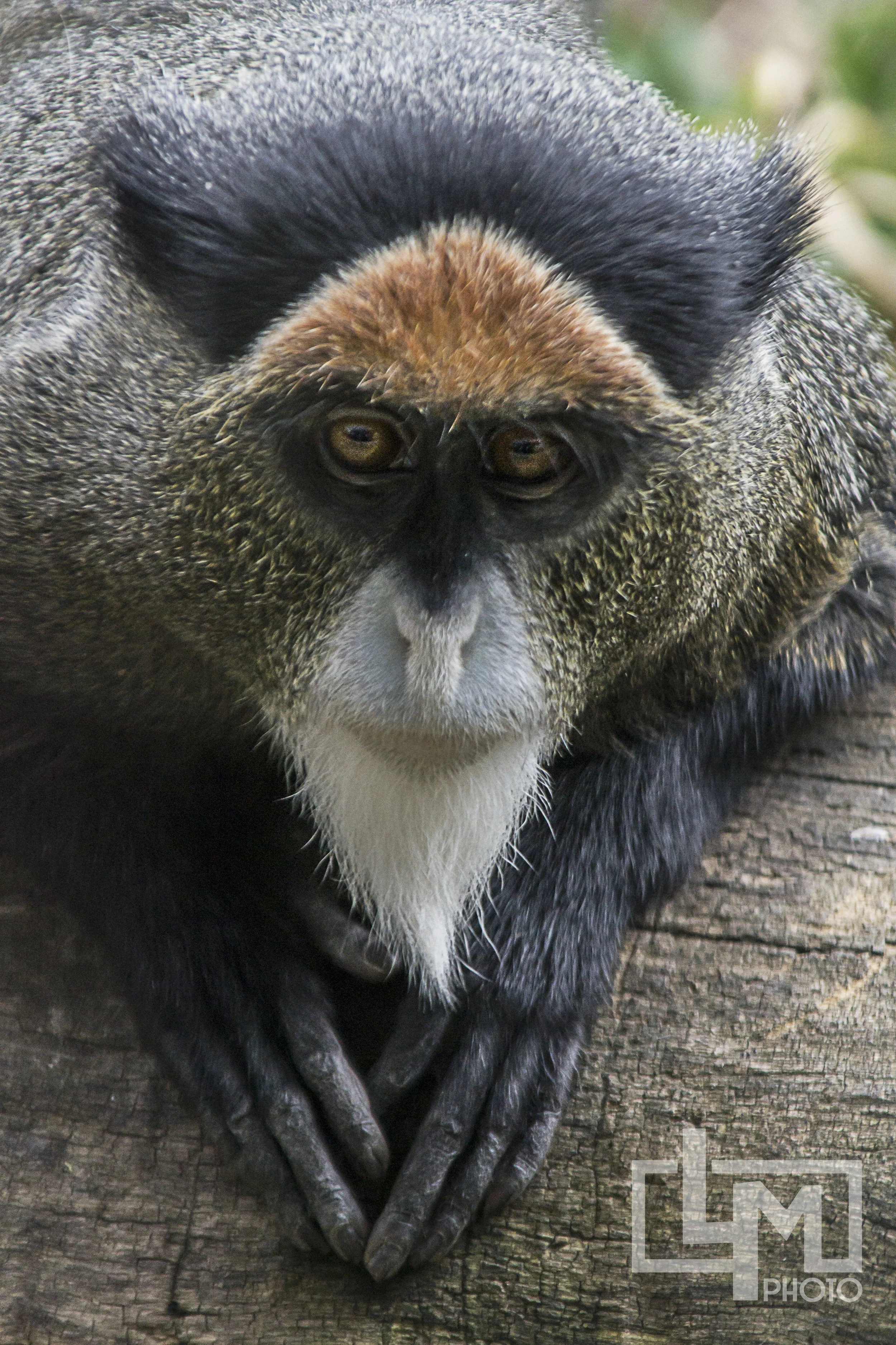 DSC_0594.jpg