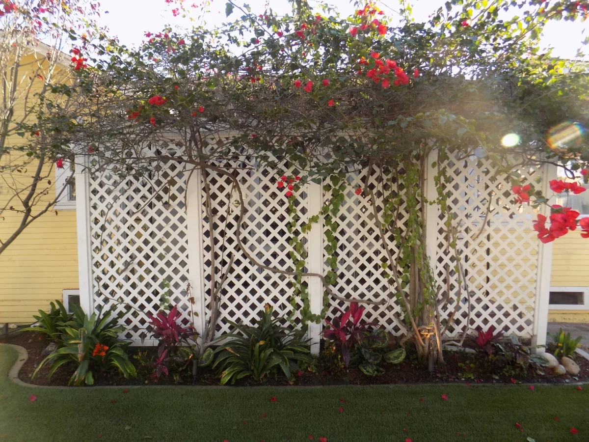 Optimized-LED+Spot+lights+Cast+Brass+Professional+in+Long+Beach+Ca+OC+Night+Lights+3.jpg