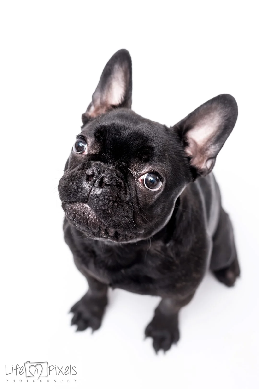 CHR_8621 (Large).JPG