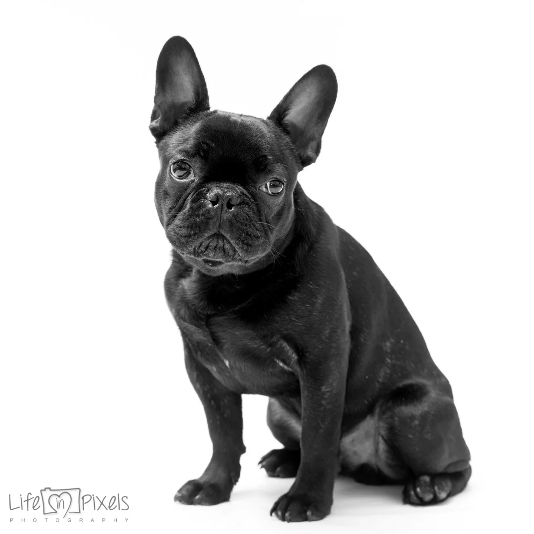 CHR_8632 (Large).JPG