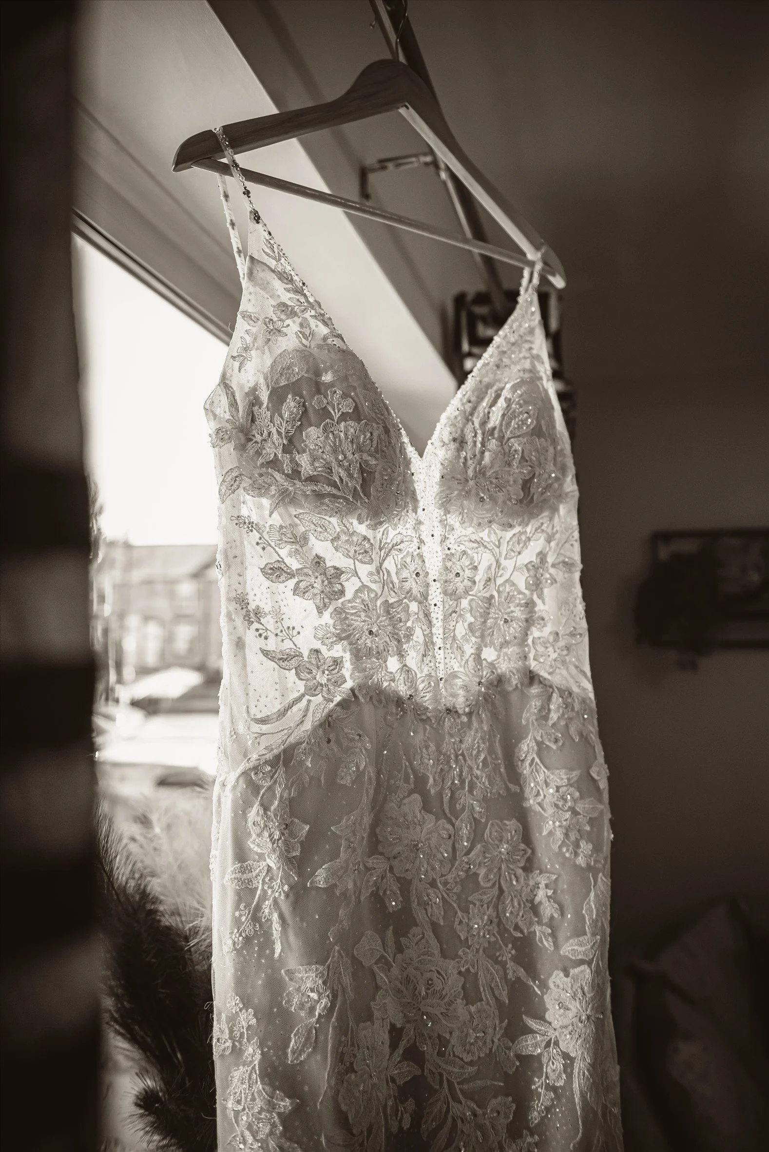 Birch (19).jpg