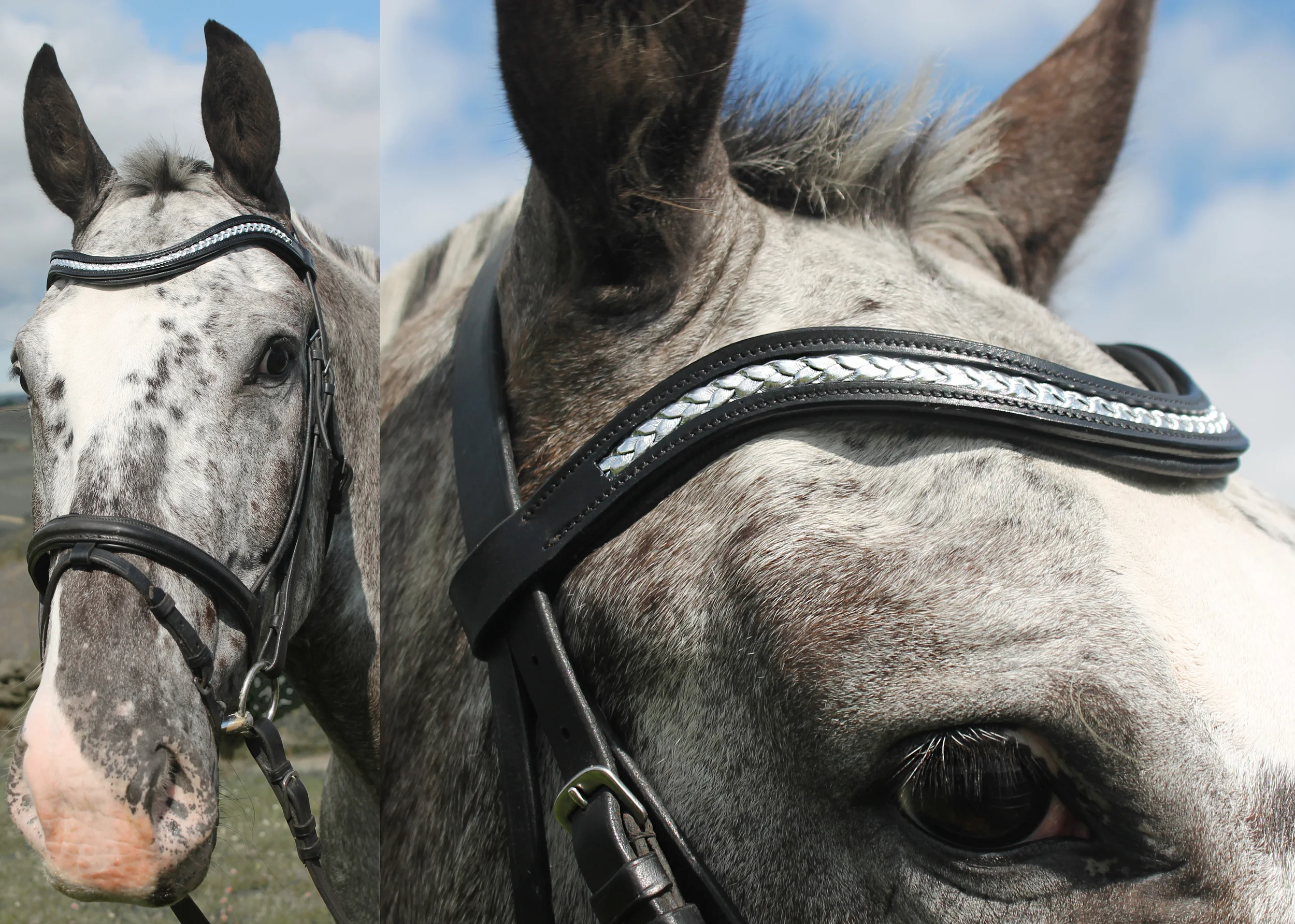 browband