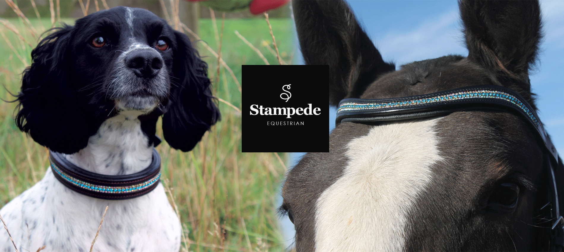 NOVEMBER SALES STARTS THIS SUNDAY