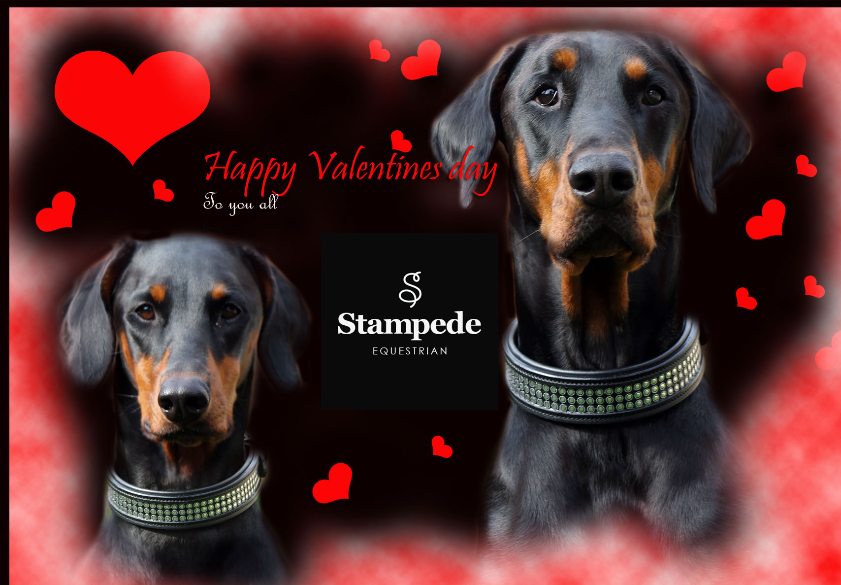 stampede-valentines.jpg