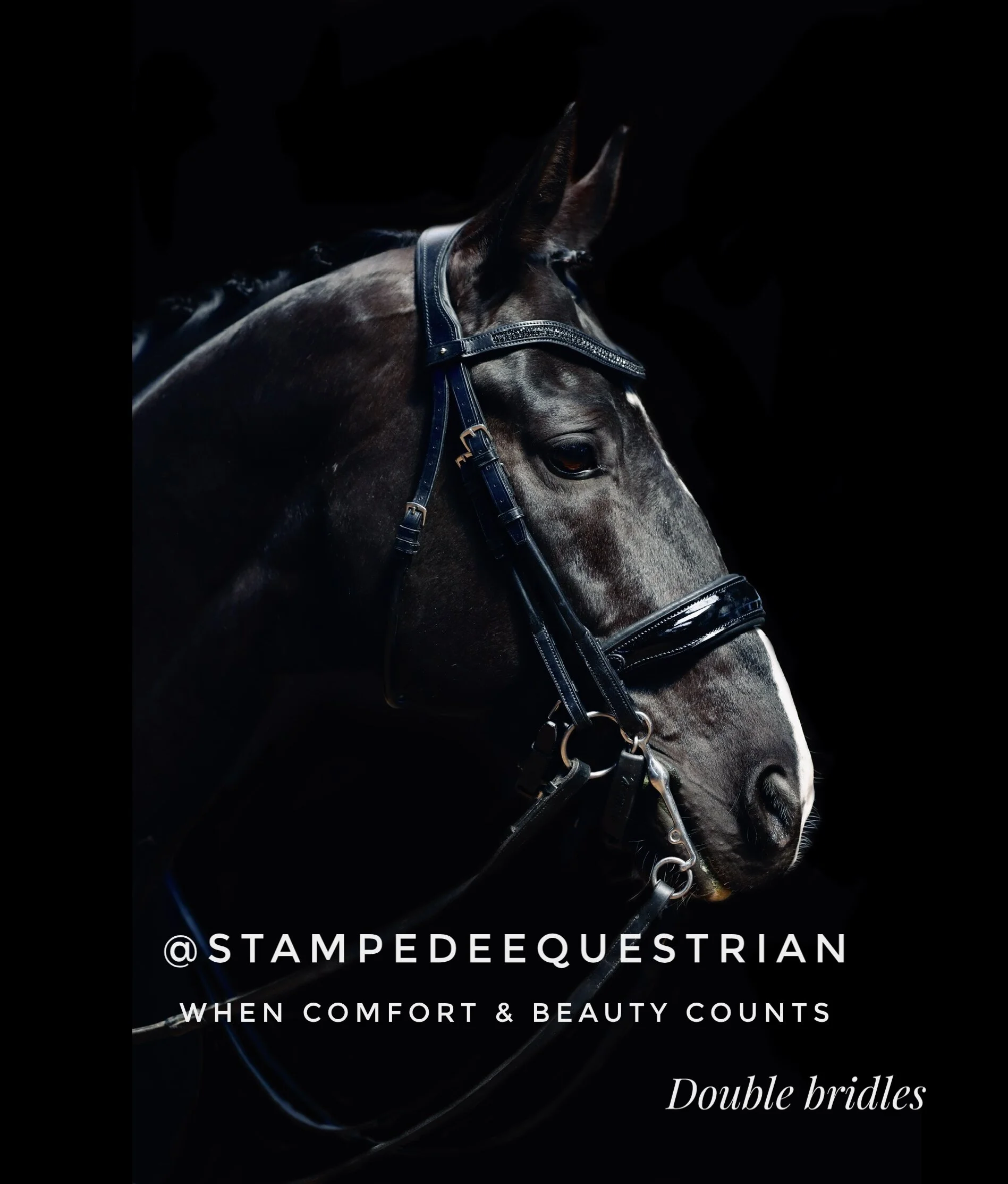 doube bridle english leather